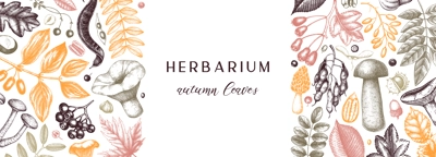Hand sketched autumn banner in color. Elegant and trendy botanical template with autumn leaves, pumpkins, berries, mushrooms, nuts drawings. Vintage plants template. Autumn food background.